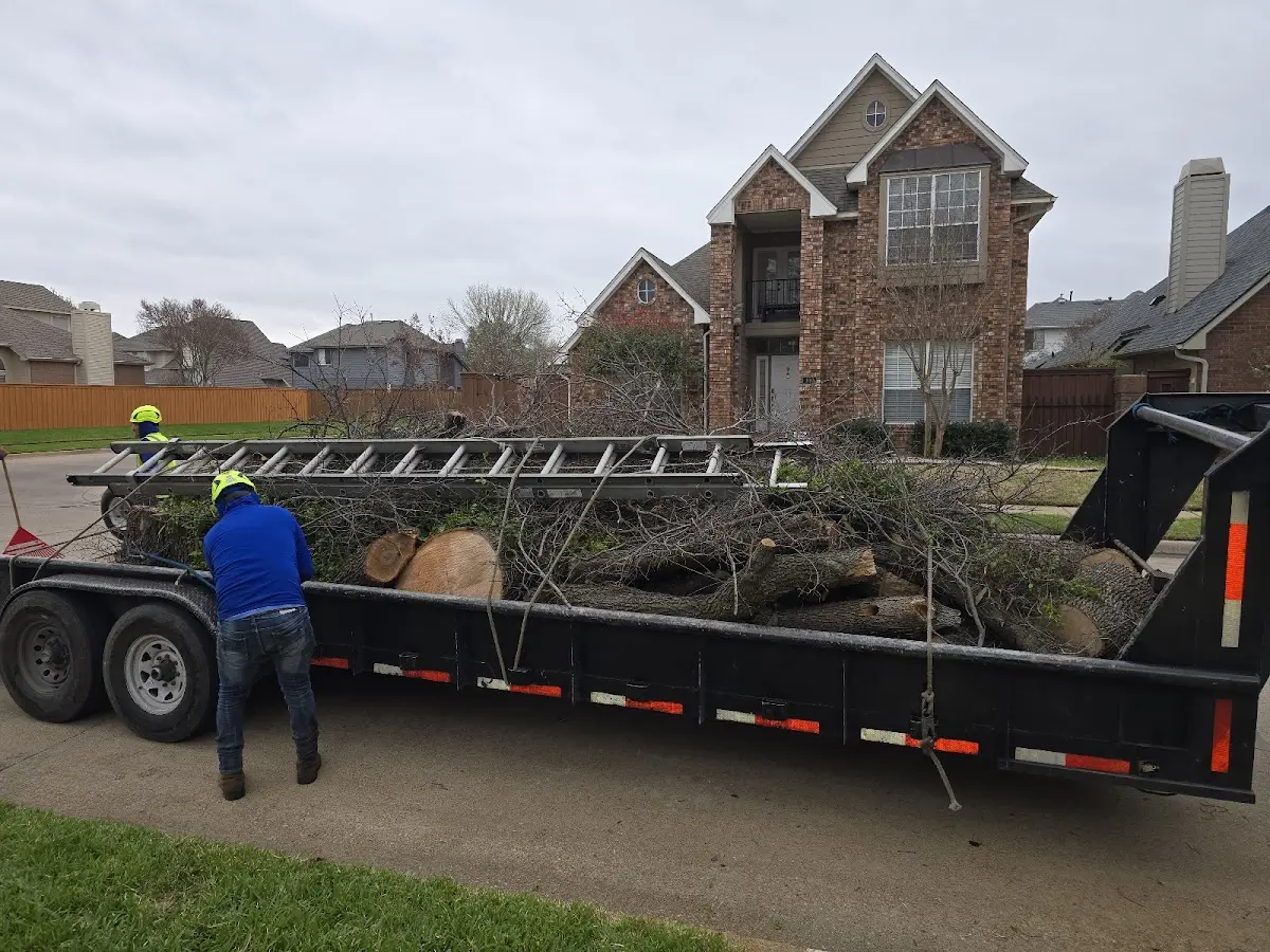 Expert Tree Fertilization with proper safety equipment in Geneseo